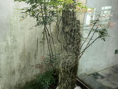 -苏州园林博物馆