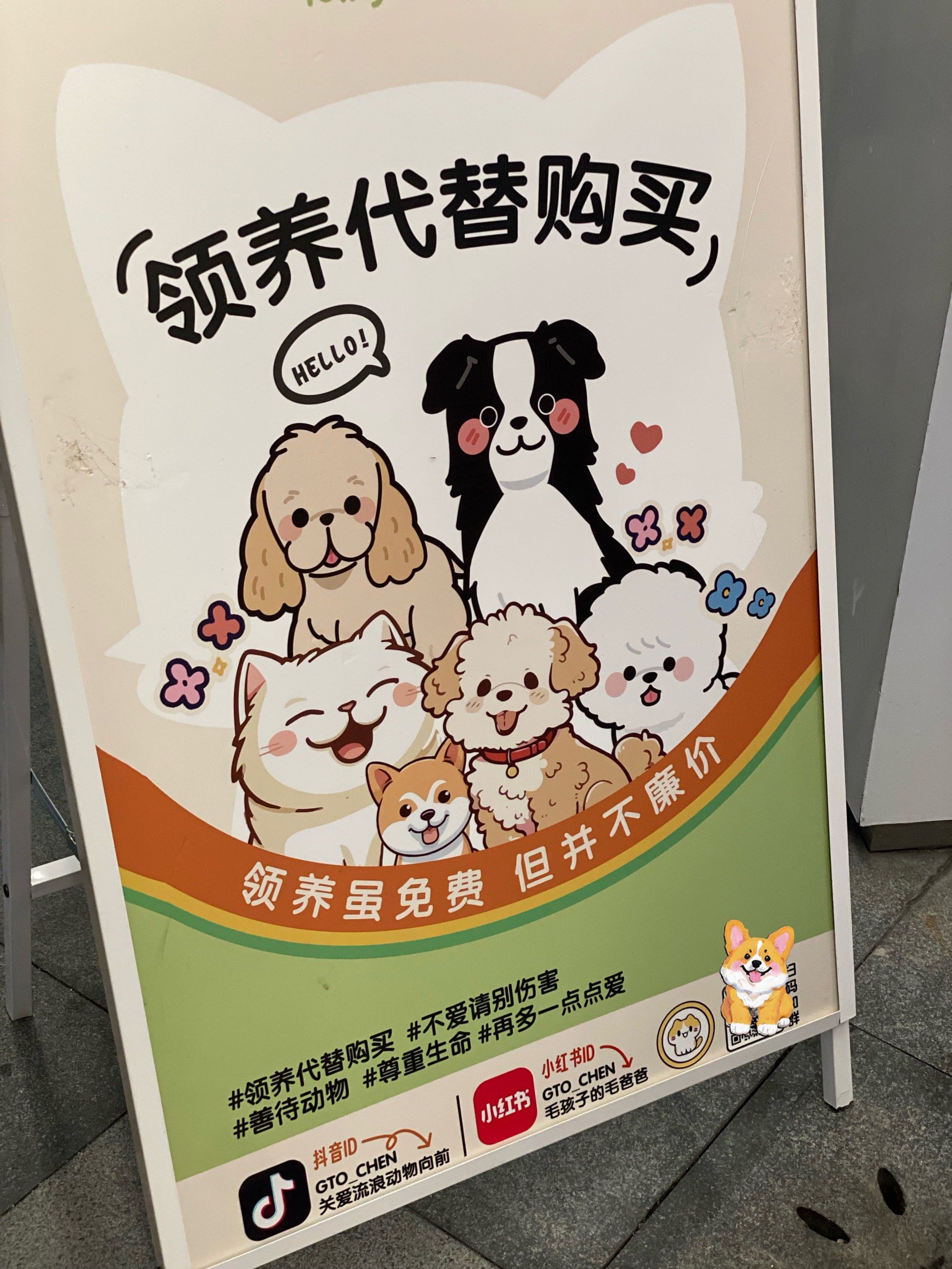 n领养有一定的要求,收养现场是不能把宠物带走的,办理手续后回家