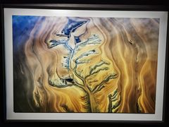 -罗红摄影艺术馆