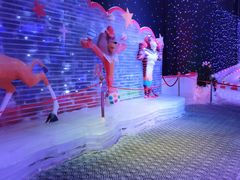 -梦幻奥陶纪景区