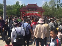 -曹州牡丹园