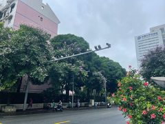 -舒记老友粉(埌西店)