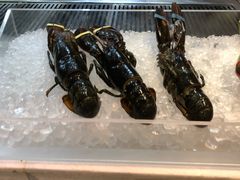 -杭州钱江新城万怡酒店-西餐厅