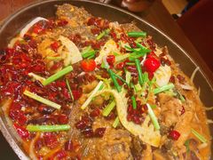 -老板恋上鱼(荣盛广场店)
