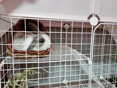 -达爱动物医院·犬猫分区·CT·复杂眼科(远洋山水分院)