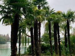 -黄兴公园