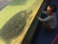 -苏州海洋馆