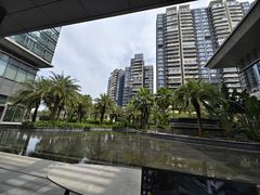 -大堂吧·雪茄吧·威士忌·下午茶(深圳机场希尔顿逸林酒店)