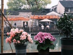 -乌镇景区