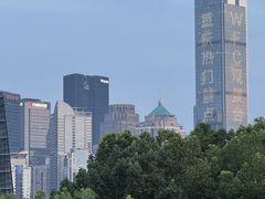 -重庆市江北嘴中央商务区中央公园