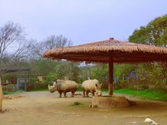 -宁波野生动物园