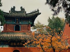 -洛阳白马寺