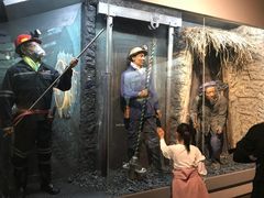 -陕西自然博物馆