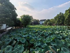 -丝绸小镇荻港古村