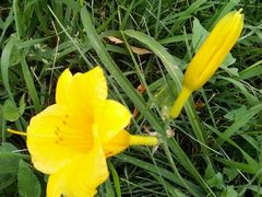 android_upload_pic-大胖骨汤火锅(裕华店)