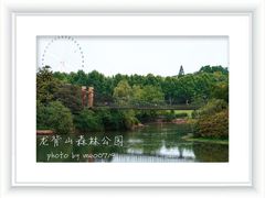 -宜兴龙背山森林公园