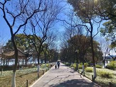 -苏堤停车场