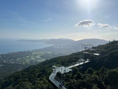 -三亚亚龙湾人间天堂鸟巢度假村