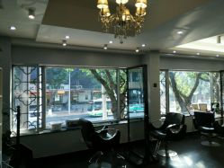 -维卡 Salon