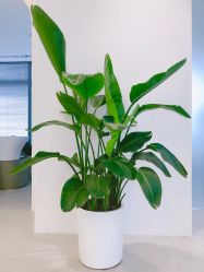-SalonRivelin 沙龙瑞菱