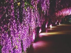 门面-北京欢乐谷