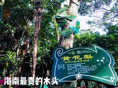 -呀诺达热带雨林