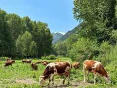 -五台山风景名胜区