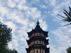 -绳金塔