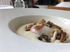 -蝶舍·MAISON PAPILLON