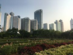 -万绿园