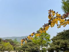 -国家植物园