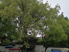 -豫园湖心亭茶楼