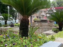 -上海财经大学附属北郊高级中学