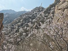 -北京凤凰岭