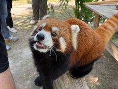 -常州淹城野生动物世界