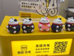 -瑞鹏宠物医院·骨外科·心肾科·肿瘤科(九亭店)