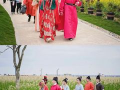 -杭州湾海上花田景区