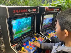 -李子坝梁山鸡(李子坝大鸡哥店)