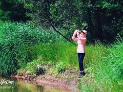 -桑干河大峡谷旅游区