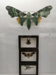 -酷嗒动物文化乐园(cutezoo西溪乐天城店)