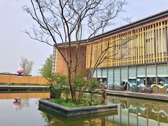 -田园东方蜜桃村的田野营地