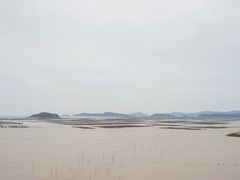 -北岐滩涂