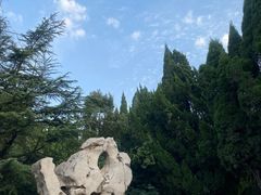 -淄博聊斋城景区
