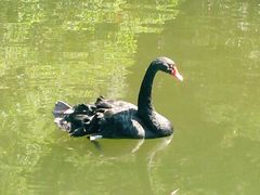 android_upload_pic-武当山风景区