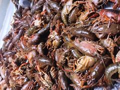 -聚盛源蒸汽海鲜火锅烤肉自助(巨川金海岸购物广场店)