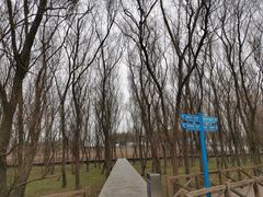 -鱼嘴湿地公园