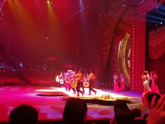 -珠海横琴长隆《卡卡虎奇遇记》