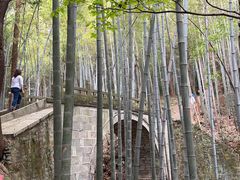 -敬亭山风景名胜区