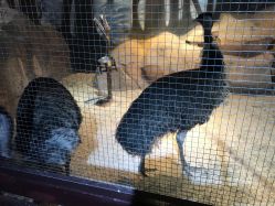 -酷嗒动物文化乐园(cutezoo西溪乐天城店)