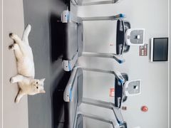 -AK健身普拉提拉伸私教馆(中八店)